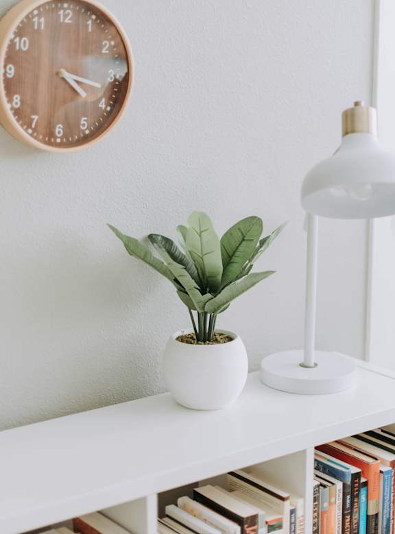 A white shelf with a plant, books, a clock, and a lamp.