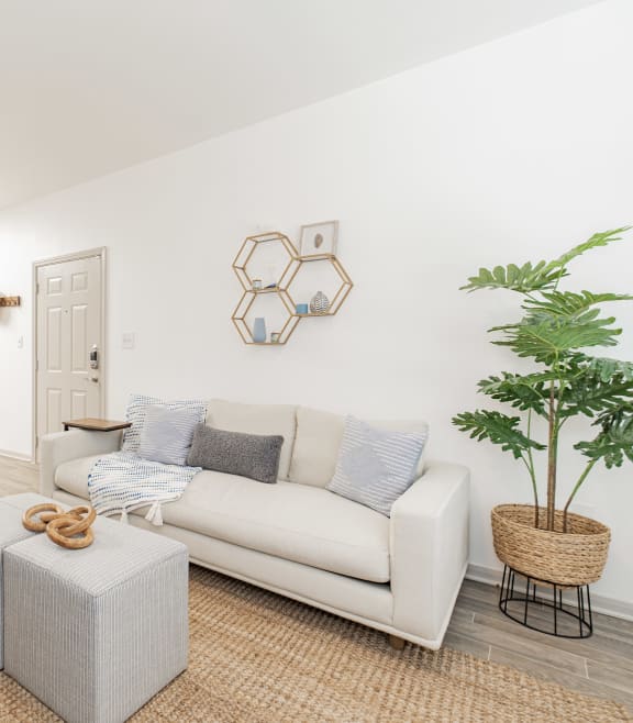 a living room with a couch and a chair