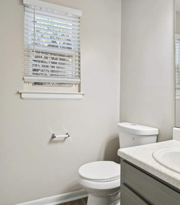 a bathroom with a toilet and a sink and a mirror