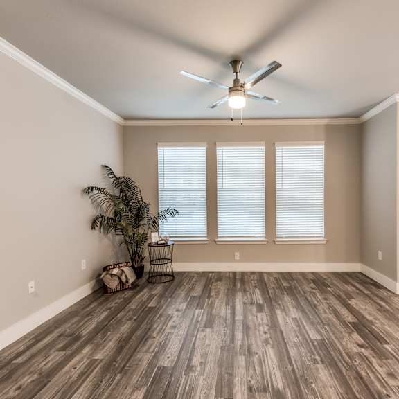 A room with a ceiling fan and a plant.