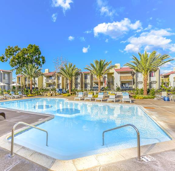 A large outdoor swimming pool surrounded by sun loungers and palm trees.