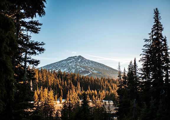A mountain is seen through the trees in the distance.