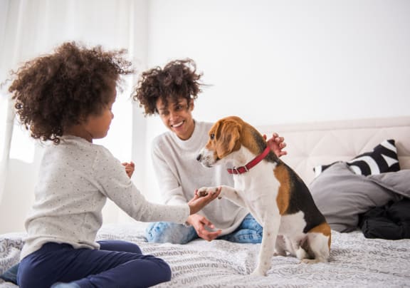 a mother and daughter playing with their dog on a bed