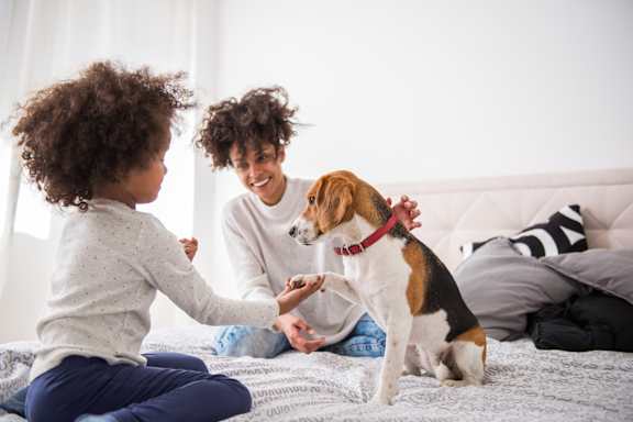 a woman and a child playing with a dog on a bed at 2929 on Mayfair, Wauwatosa, WI