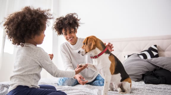 a woman and a child playing with a dog on a bed