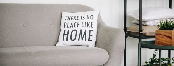 there is no place like home pillow