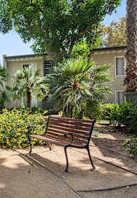 A bench sits in the middle of a garden with a building in the background.