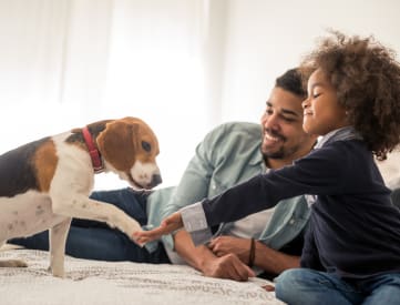 dad with daughter and pet beagle dog