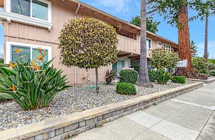A row of houses with a tree in front of the first one.