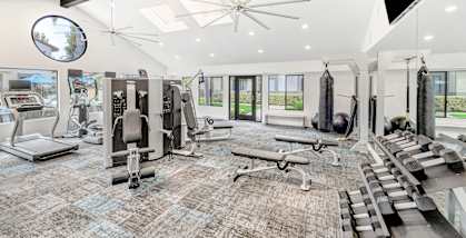 A gym with a variety of equipment including treadmills, weights, and a television.