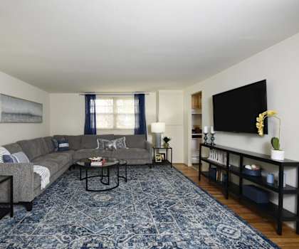 A living room with a grey couch and a blue rug.