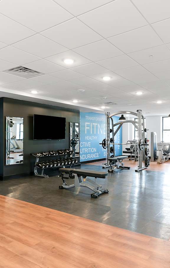A gym with a row of treadmills and elliptical machines.