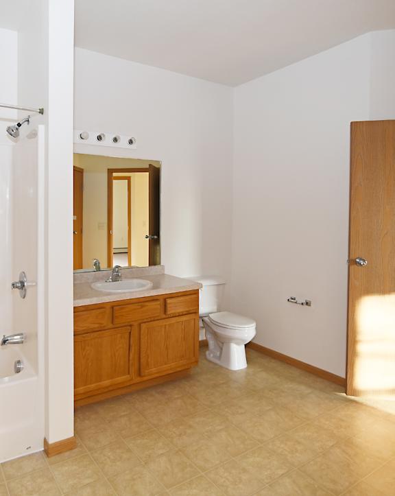 a bathroom with a sink and a toilet at Cedar Ridge Apartments, Clearwater