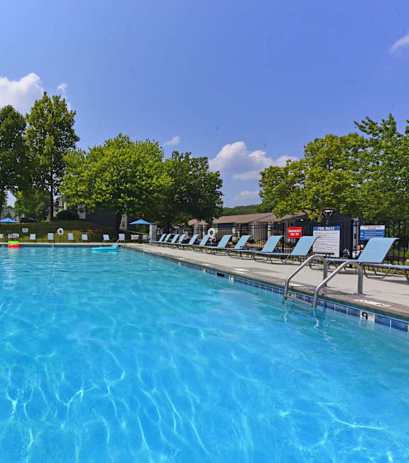 A large blue swimming pool with sun loungers on the side.