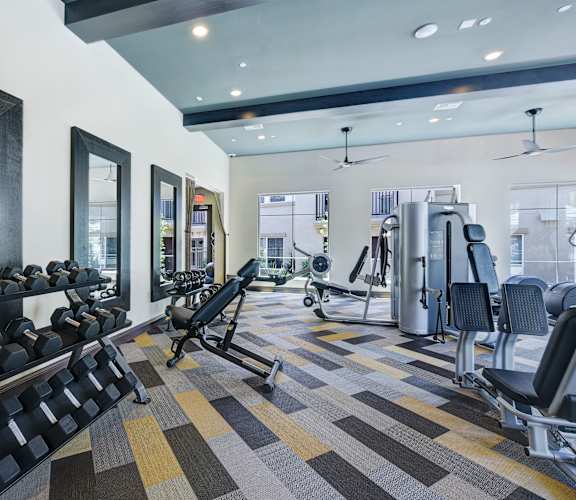 A gym with a variety of equipment including dumbbells, weight machines, and a bench press.
