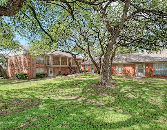 A tree in front of a house with a lawn.