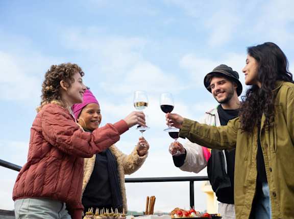 A group of people toasting with wine glasses on a rooftop.
