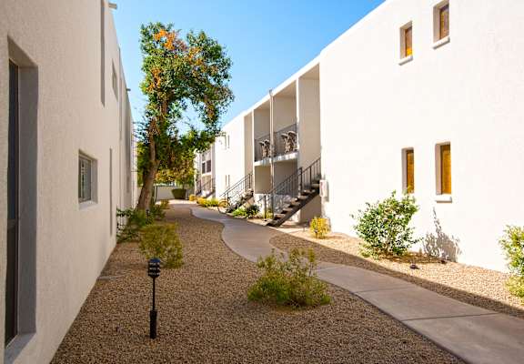 A small tree is growing in a gravel area between two buildings.at Winfield of Scottsdale, Scottsdale