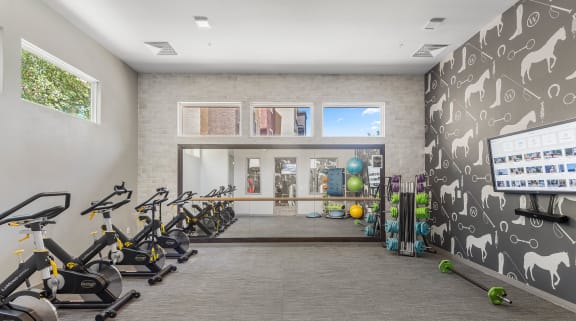 the gym at the enclave at woodbridge apartments in sugar land, tx