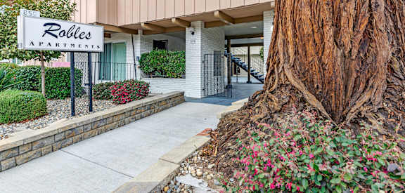 A tree is in front of a building with a sign that says "Robbies Apartments".