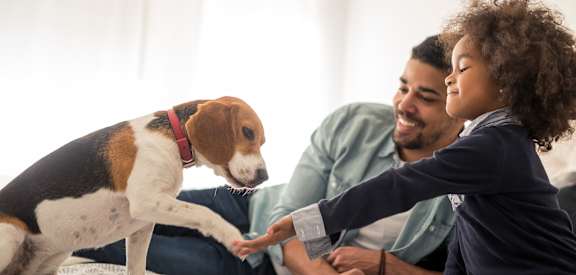 dad with daughter and pet beagle dog