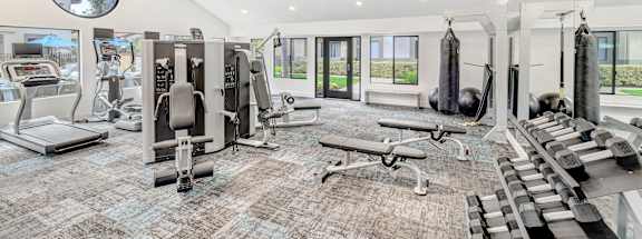 A gym with a variety of equipment including treadmills, weights, and a television.