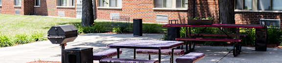 Picnic Area and Grilling Station at Hammond Elderly