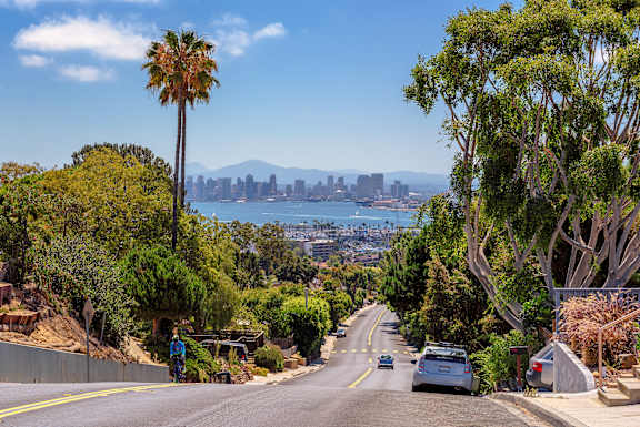 A tree-lined street with a view of the city in the distance.