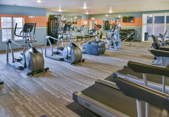 a large fitness room with treadmills and other exercise equipment