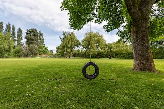 a tire swing hanging from a tree in a park