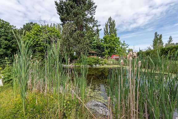 A pond surrounded by greenery and a small building in the background.