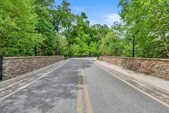 A road with a yellow line in the middle and trees on both sides.