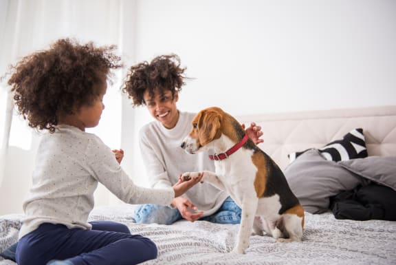 a mother and daughter playing with their dog on a bed