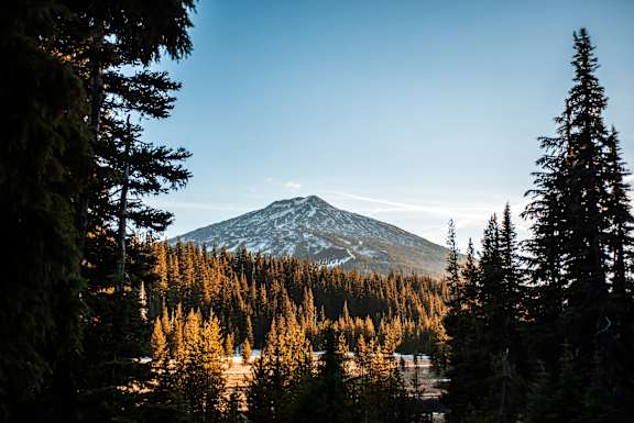 a view of a mountain in the distance with pine trees