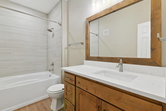 a bathroom with a sink and a toilet and a shower at The Canyons Apartments, Fort Worth, TX