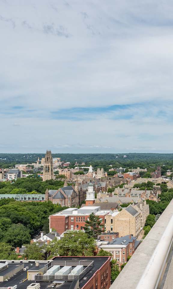 A row of lawn chairs are lined up on a patio overlooking a city.