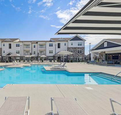 our apartments have a large swimming pool with chairs and umbrellas