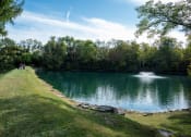 Thumbnail 3 of 8 - a lake with a fountain in the middle of a grassy field