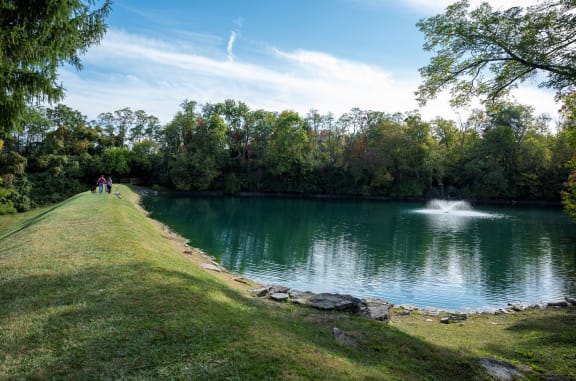 a lake with a fountain in the middle of a grassy field