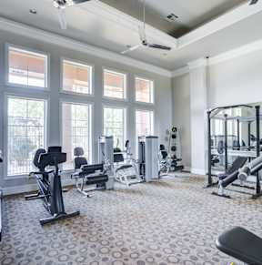 A gym with plenty of free weight and strength equipment and cardio equipment with windows for natural light