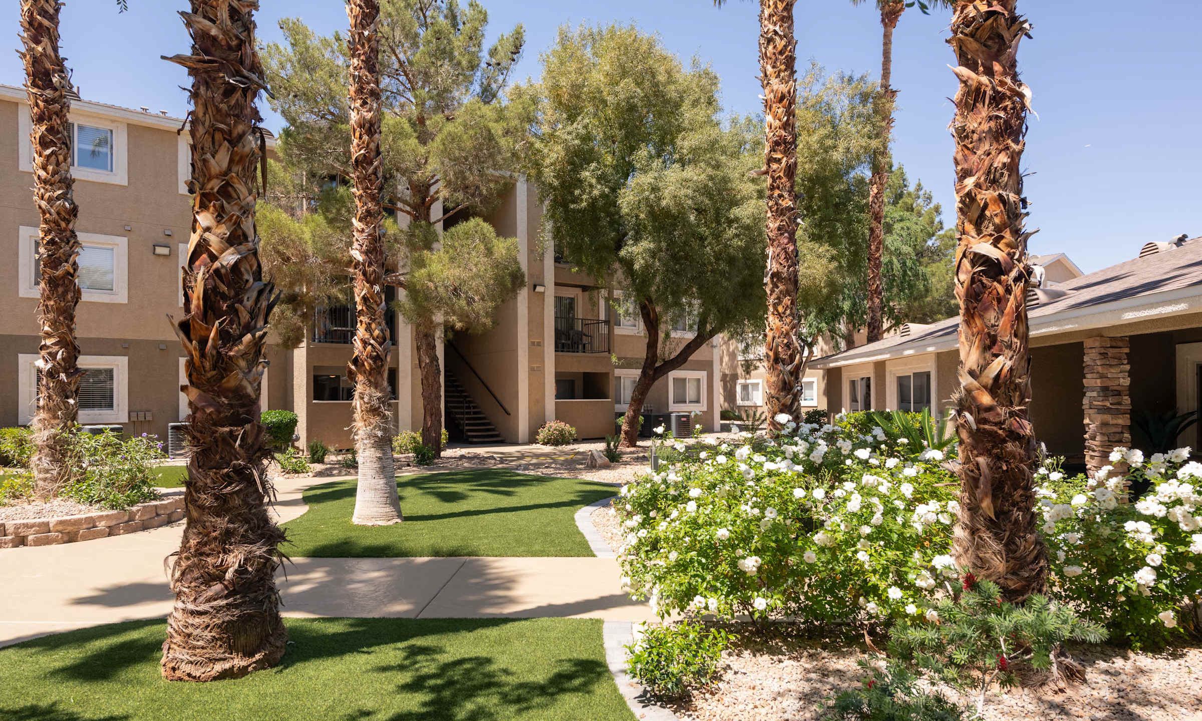 Amara Spring Valley 5 of 12