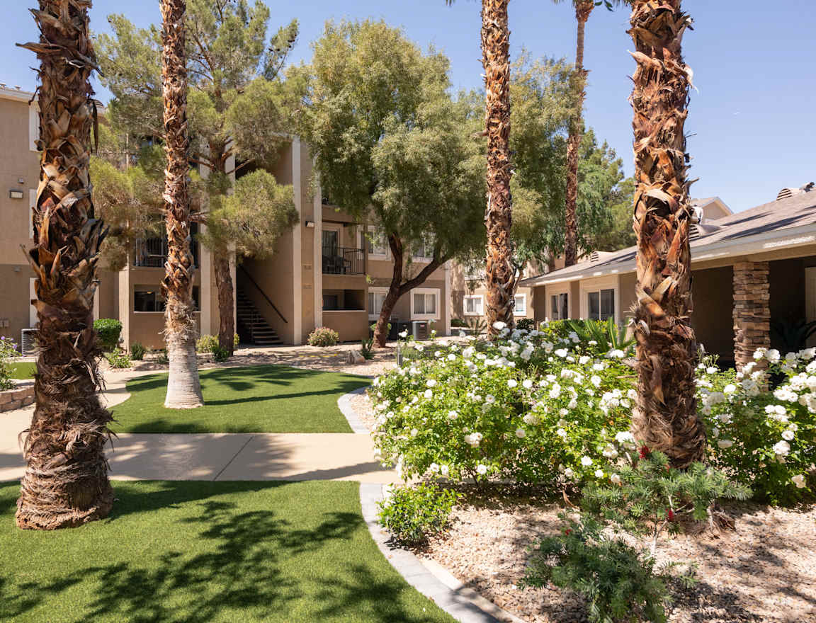 Amara Spring Valley 11 of 12