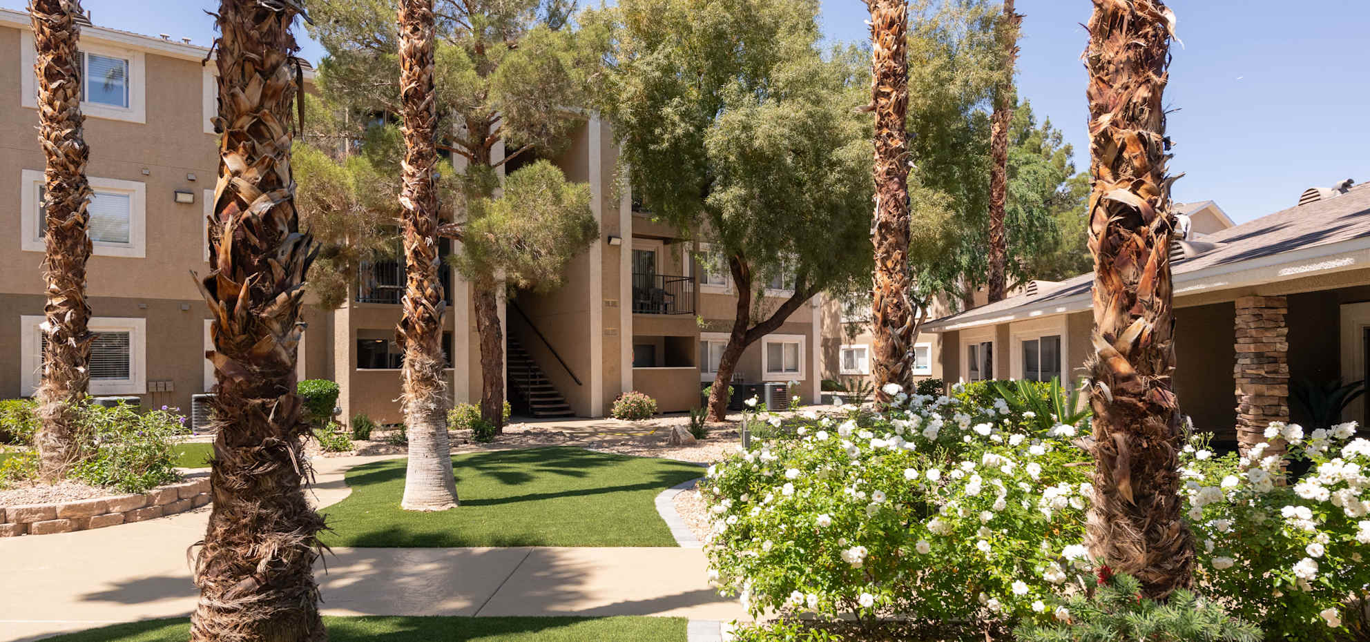 Amara Spring Valley 7 of 12