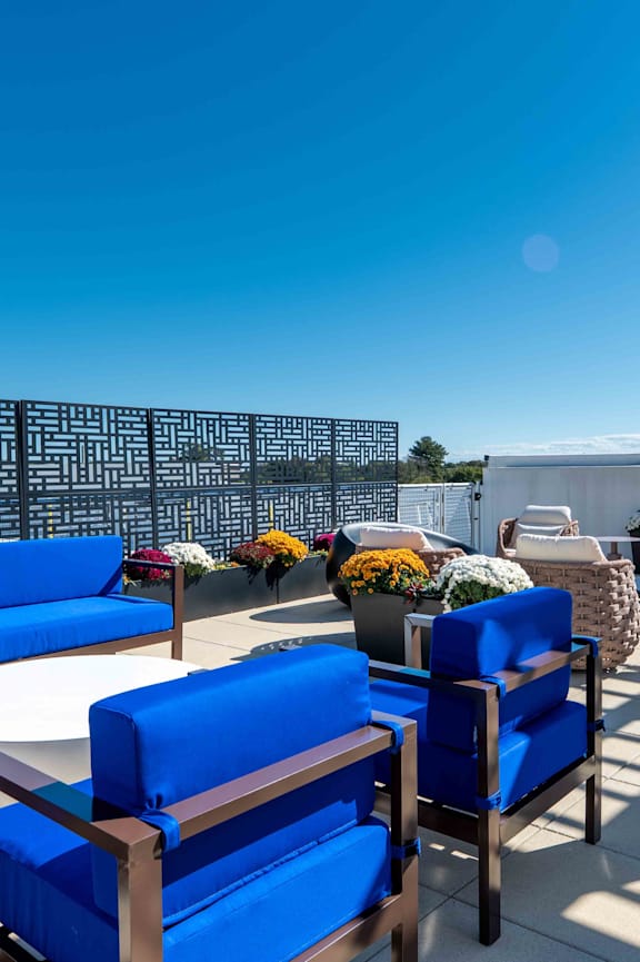 A patio with a couch, table, and plants.