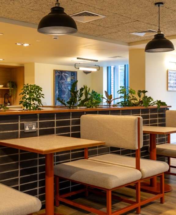 a wooden table in a restaurant with chairs and a plant