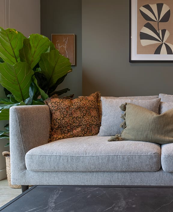a couch with pillows and a plant in a living room