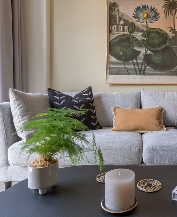 a couch with pillows and a plant in a living room