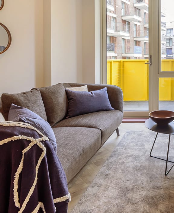 a couch with pillows and a plant in a living room