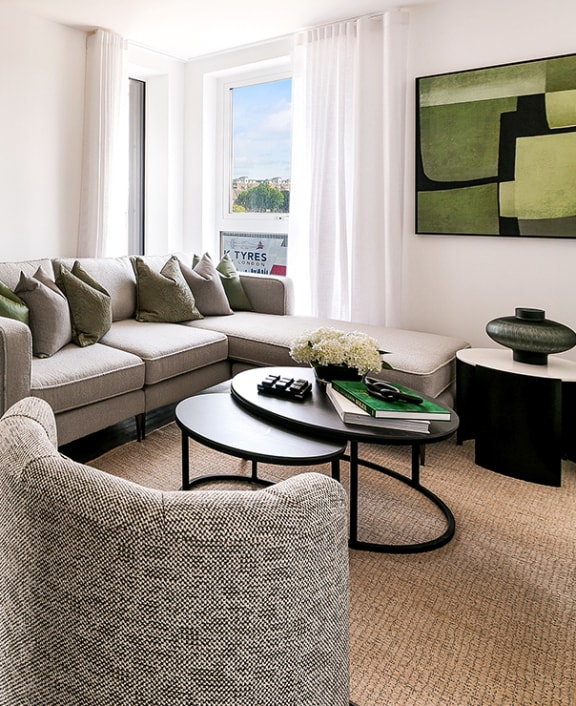 a couch with pillows and a plant in a living room