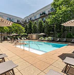 A swimming pool surrounded by blue lounge chairs and trees.